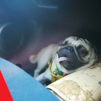 Get your vehicle in shape for summer with a Cooling System Service Small Image