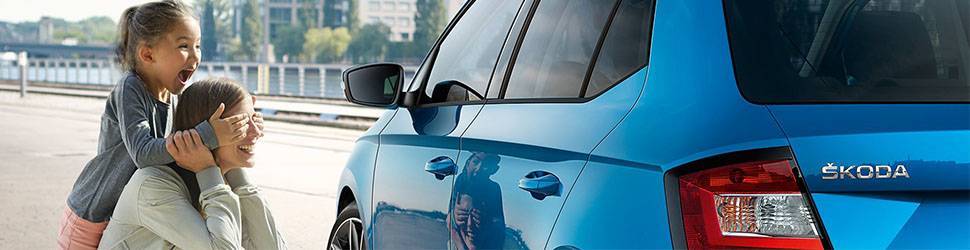 Skoda Vehicle Price