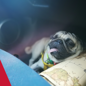 Get your vehicle in shape for summer with a Cooling System Service Small Image