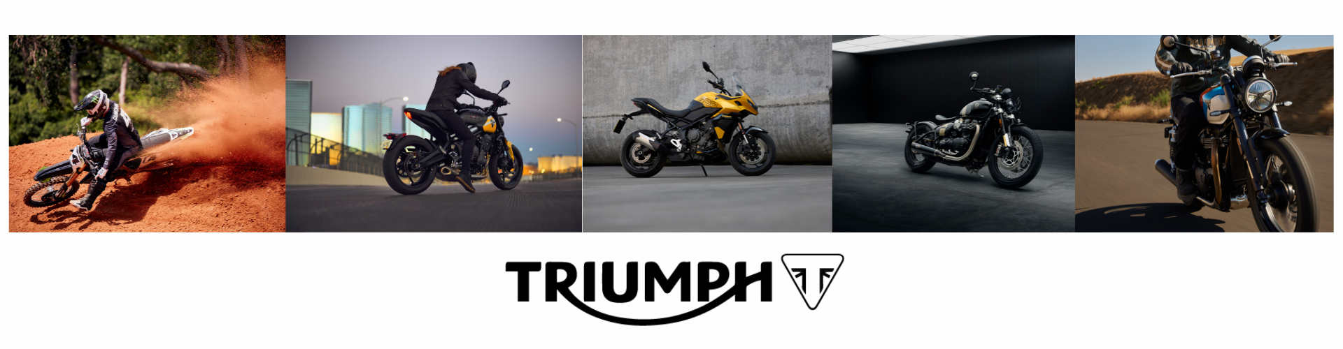 Triumph Banner