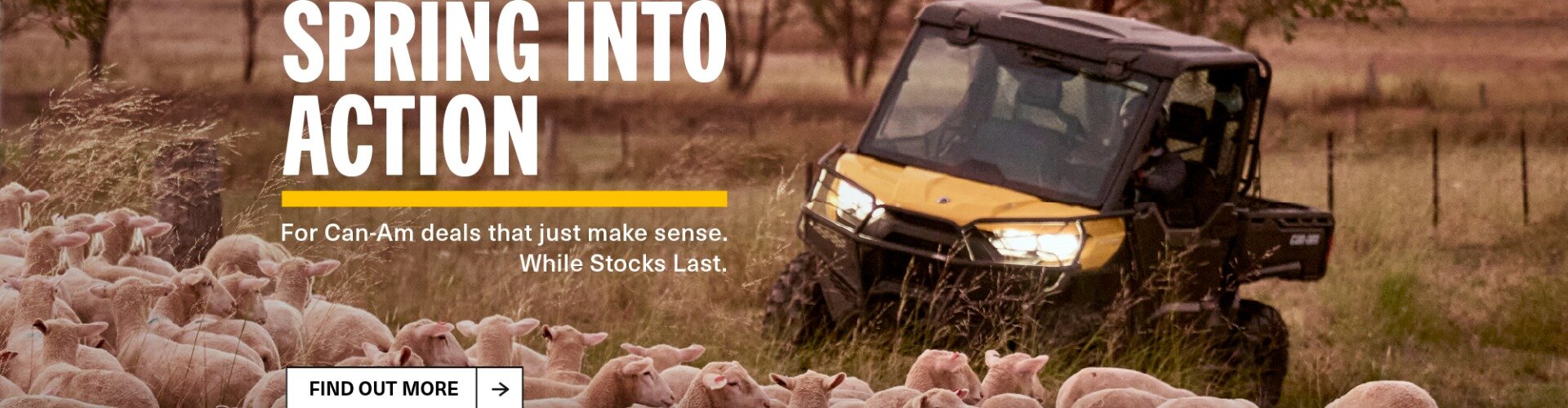 SHOP CAN-AM TASMANIA