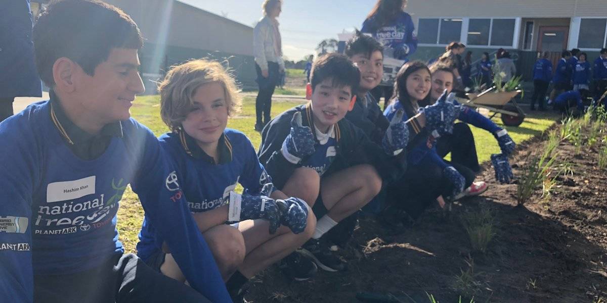 blog large image - School Tree Day Brentwood 2018