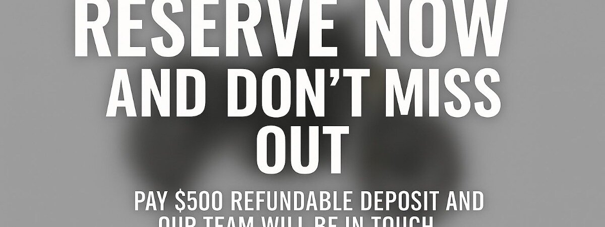 2025 Triumph Rocket 3 GT  Large Image