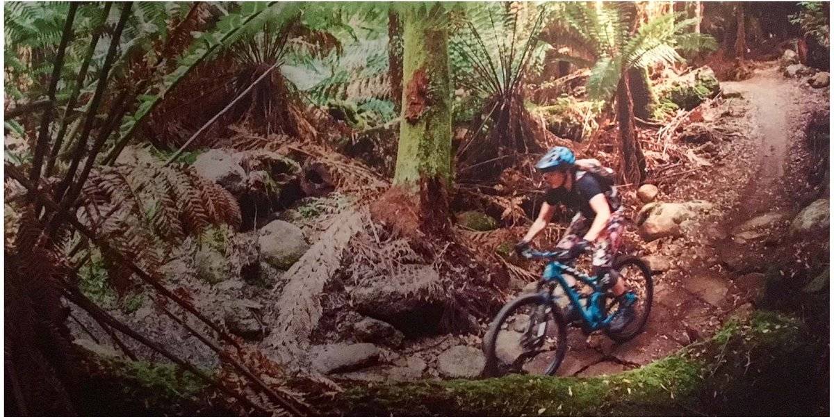 blog large image - Tom's Torque | Blue Derby