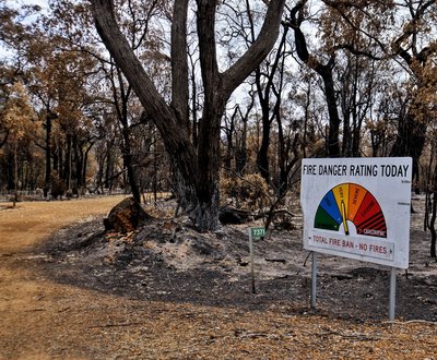 Fire danger sign standing in burnt patch of bushland image