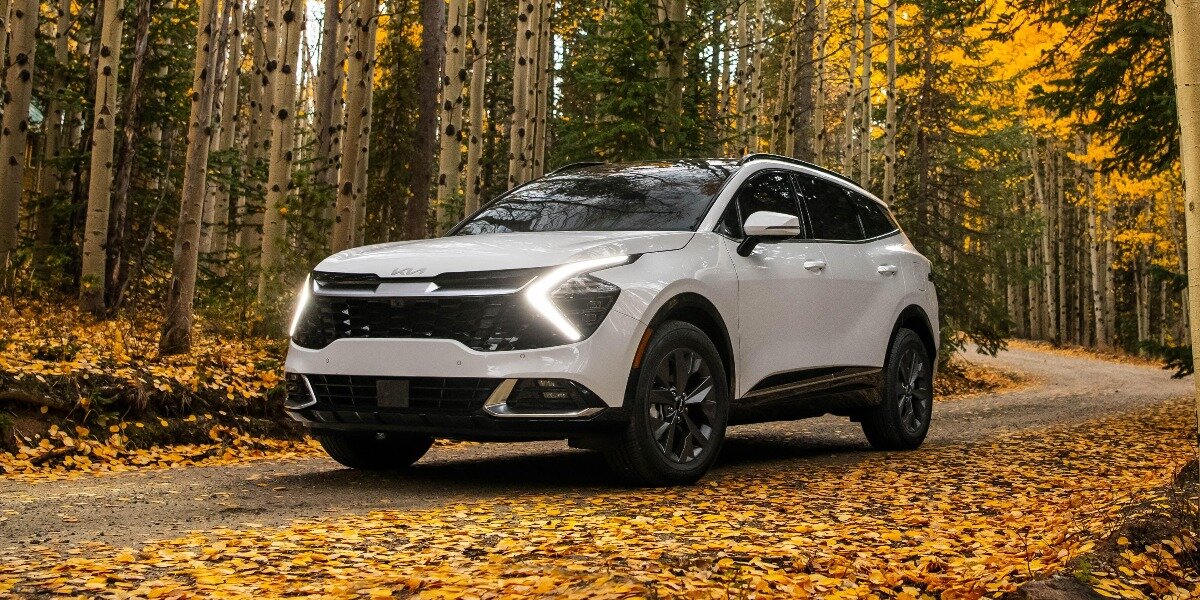blog large image - Why the KIA Sportage won Drive Car of the Year