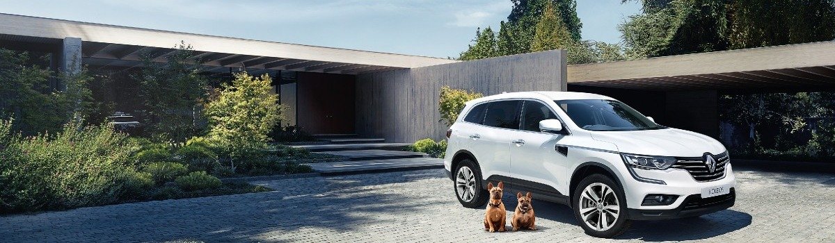 Renault Koleos Large Image