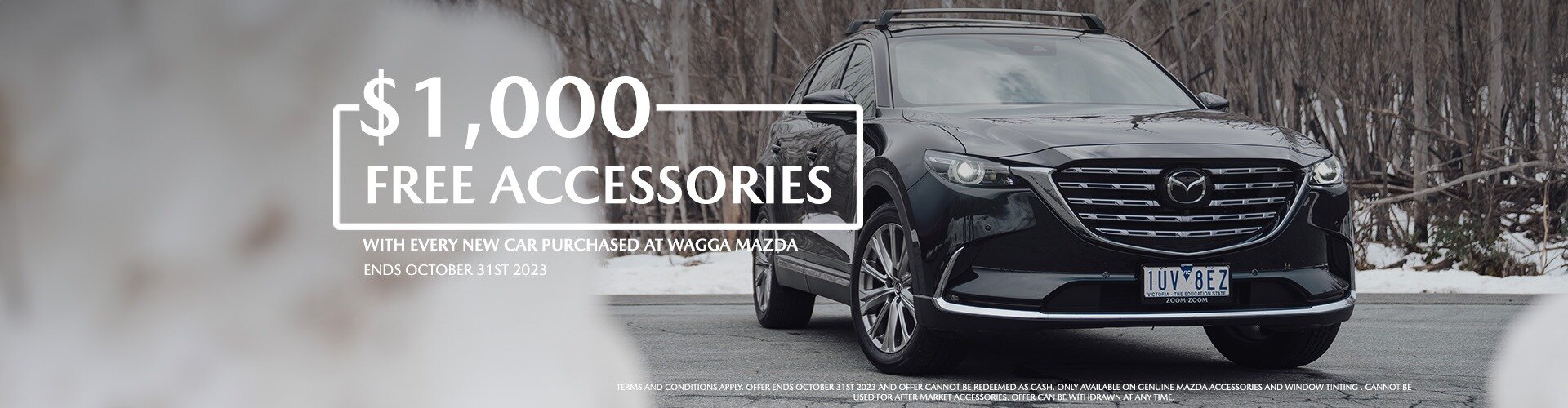 New Subaru & Mazda sales, Used Cars, Service Jupiter Motors