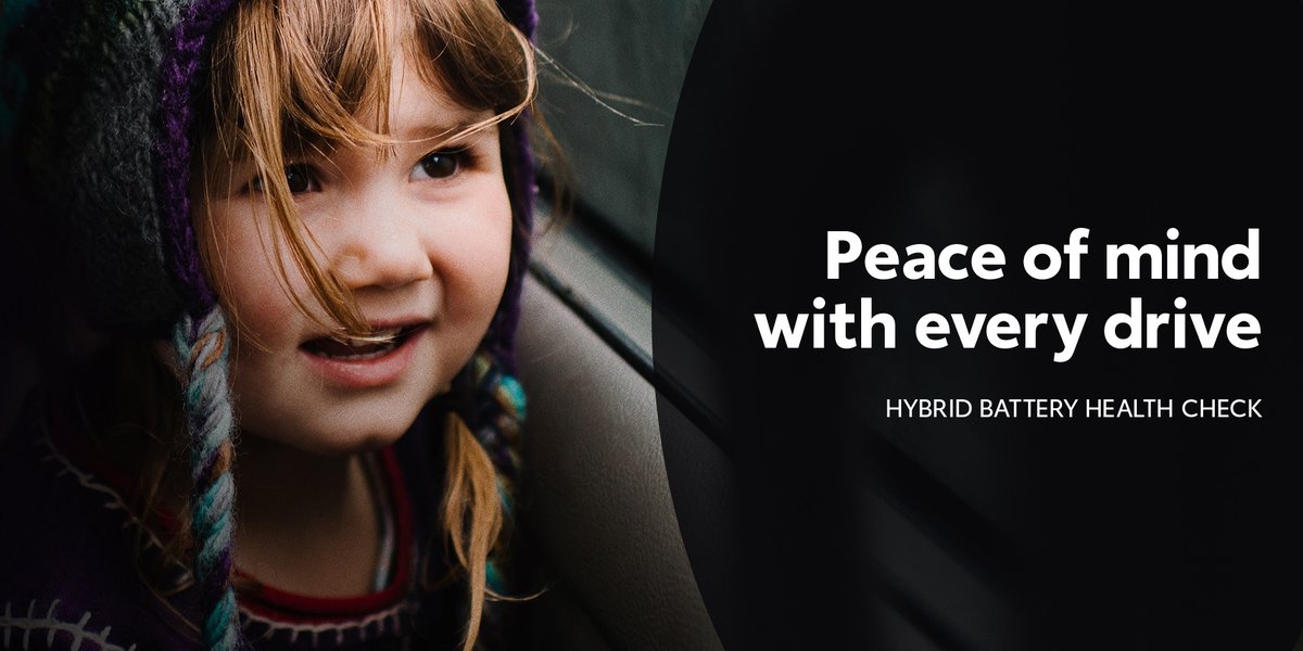 blog large image - Hybrid Battery Health Check