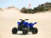 Yamaha Raptor 110 2025 - Gallery 5