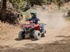 Yamaha Raptor 110 2025 - Gallery 2