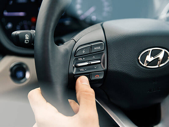 Steering Wheel Mounted Controls