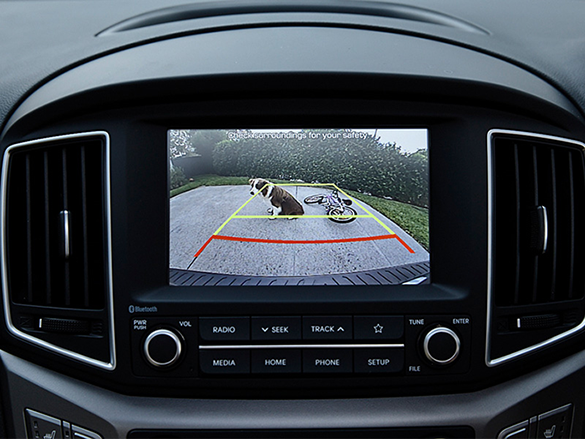 Rear view camera.