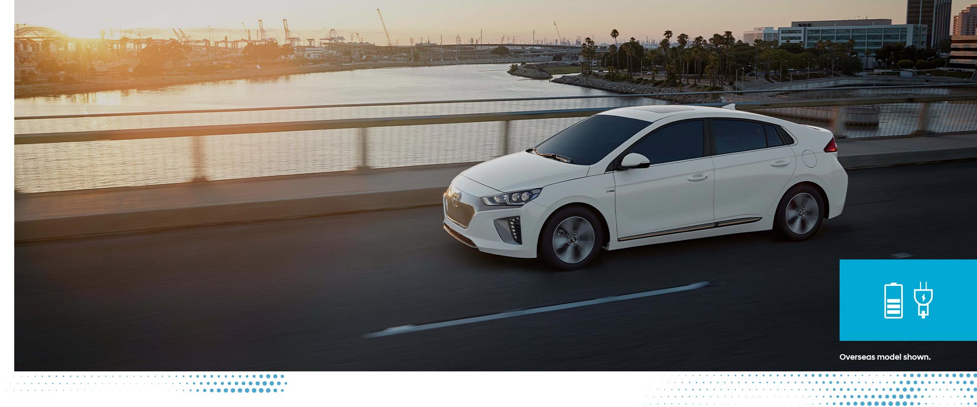 Ioniq Electric