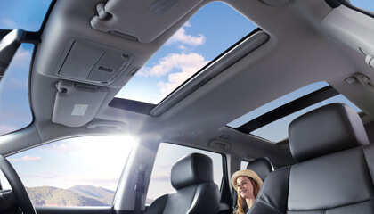 Where-the-sun-shines-on-everyone