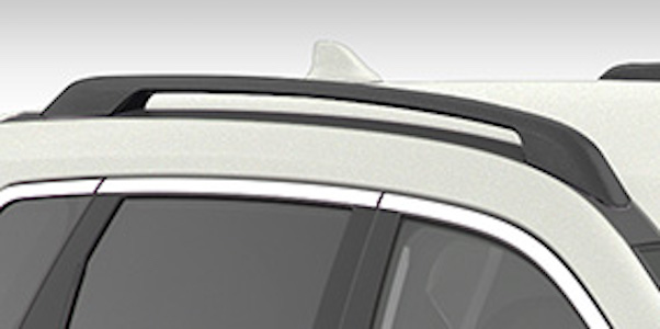 Black Roof Rails