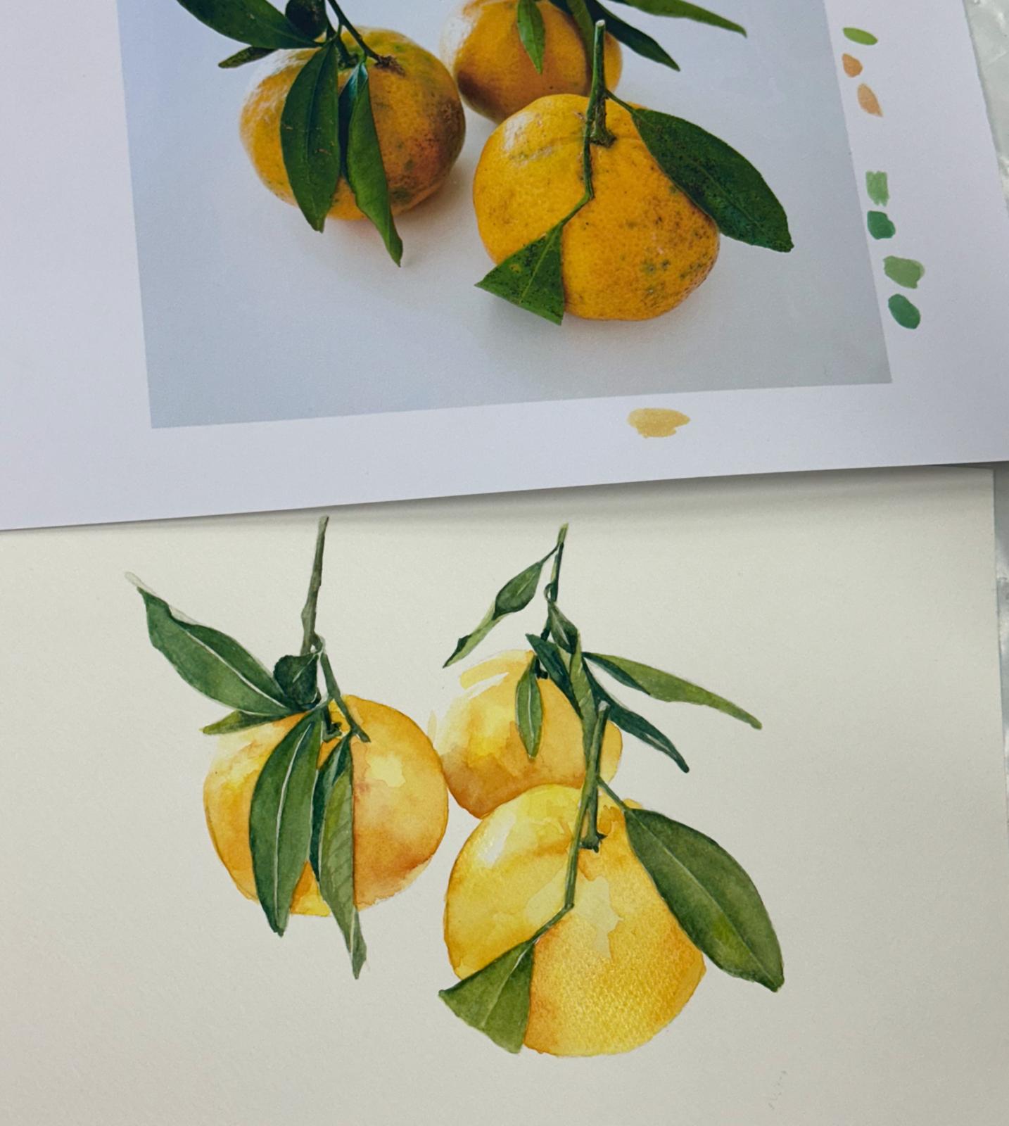Mentoring in Drawing and/or Watercolour | Kerry Daley