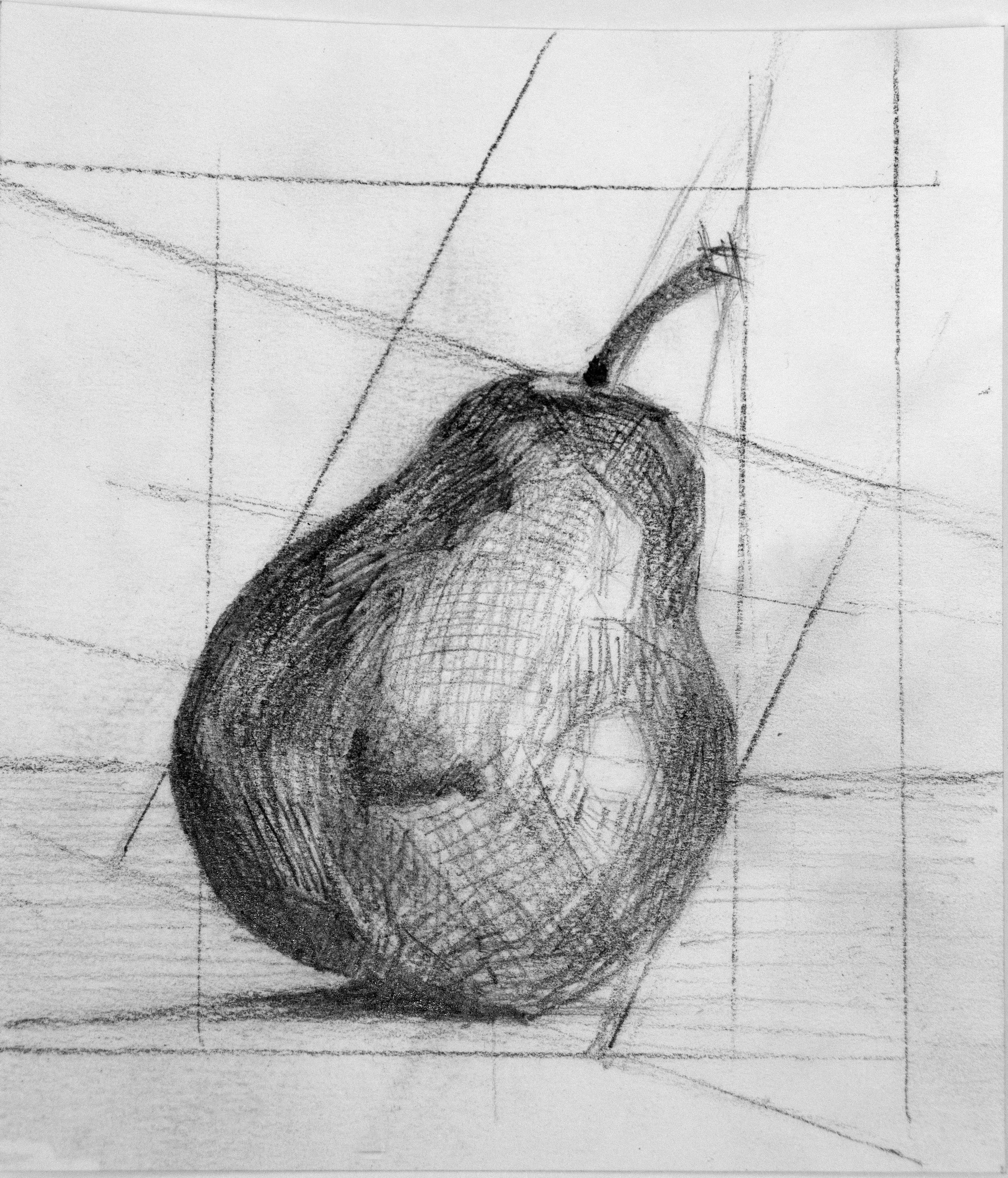 Drawing Fundamentals and Beyond  | Annette Raff