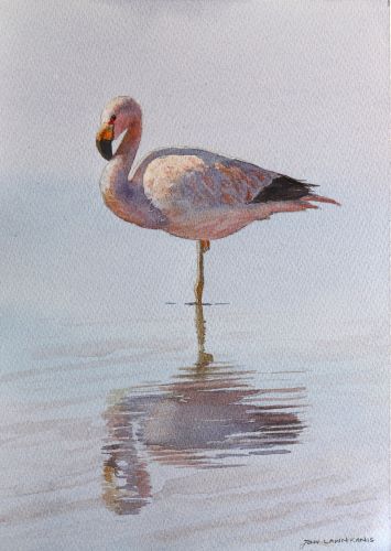 Watercolour Foundations | Jan Lawnikanis