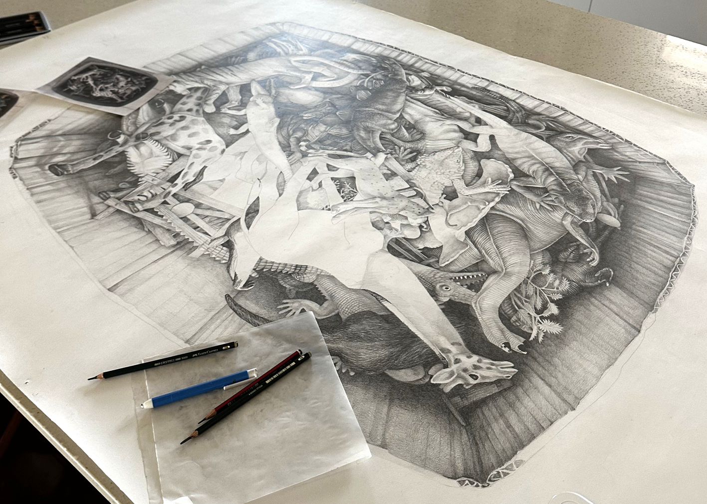 Introduction to Drawing | Kerry Daley