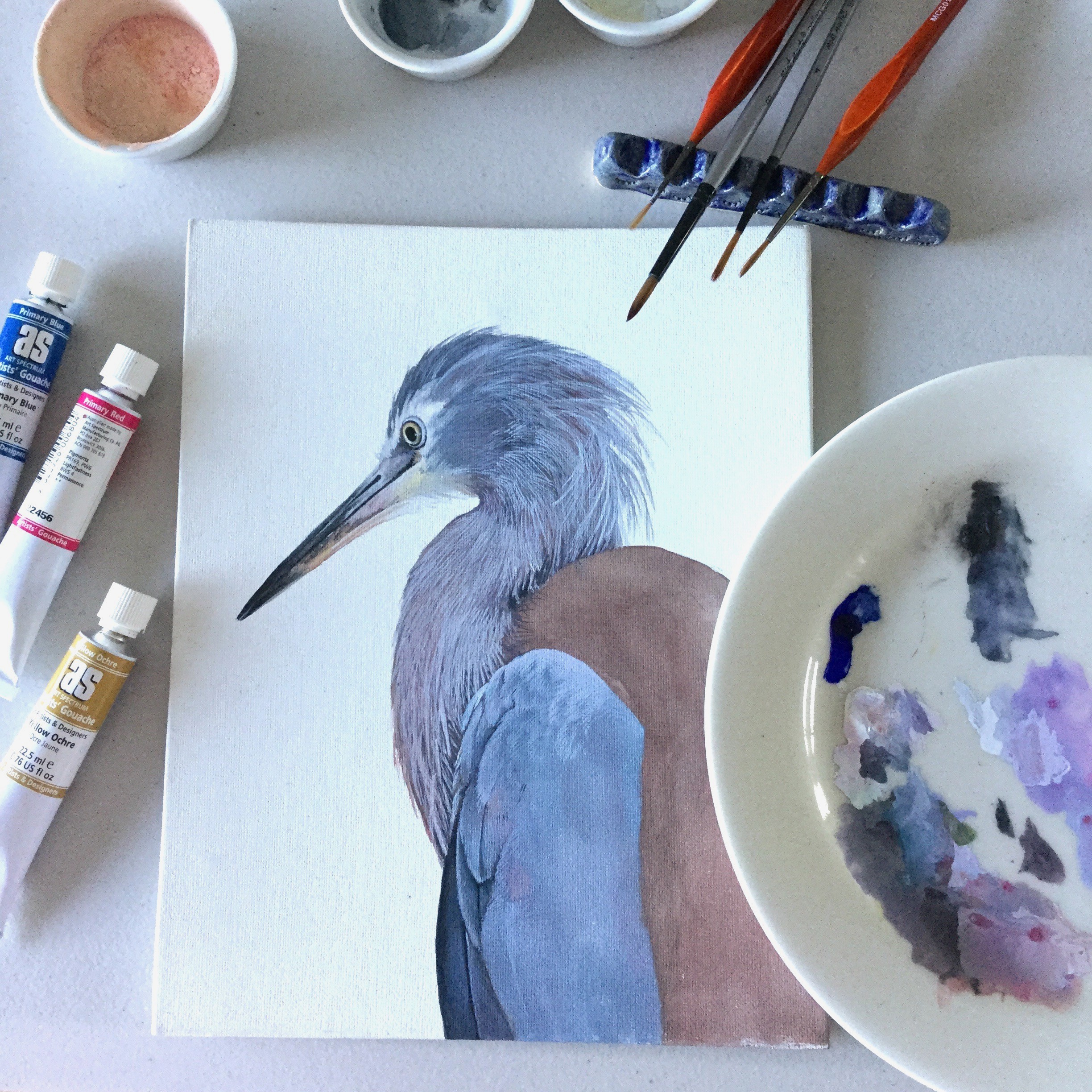 Painting Birds in Gouache | Kerry Daley