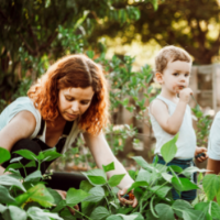 Backyard Permaculture Living Laboratory