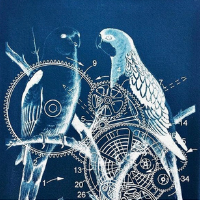 Cyanotype Printing 2