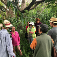 Introduction To Chemical Free Bush Regeneration