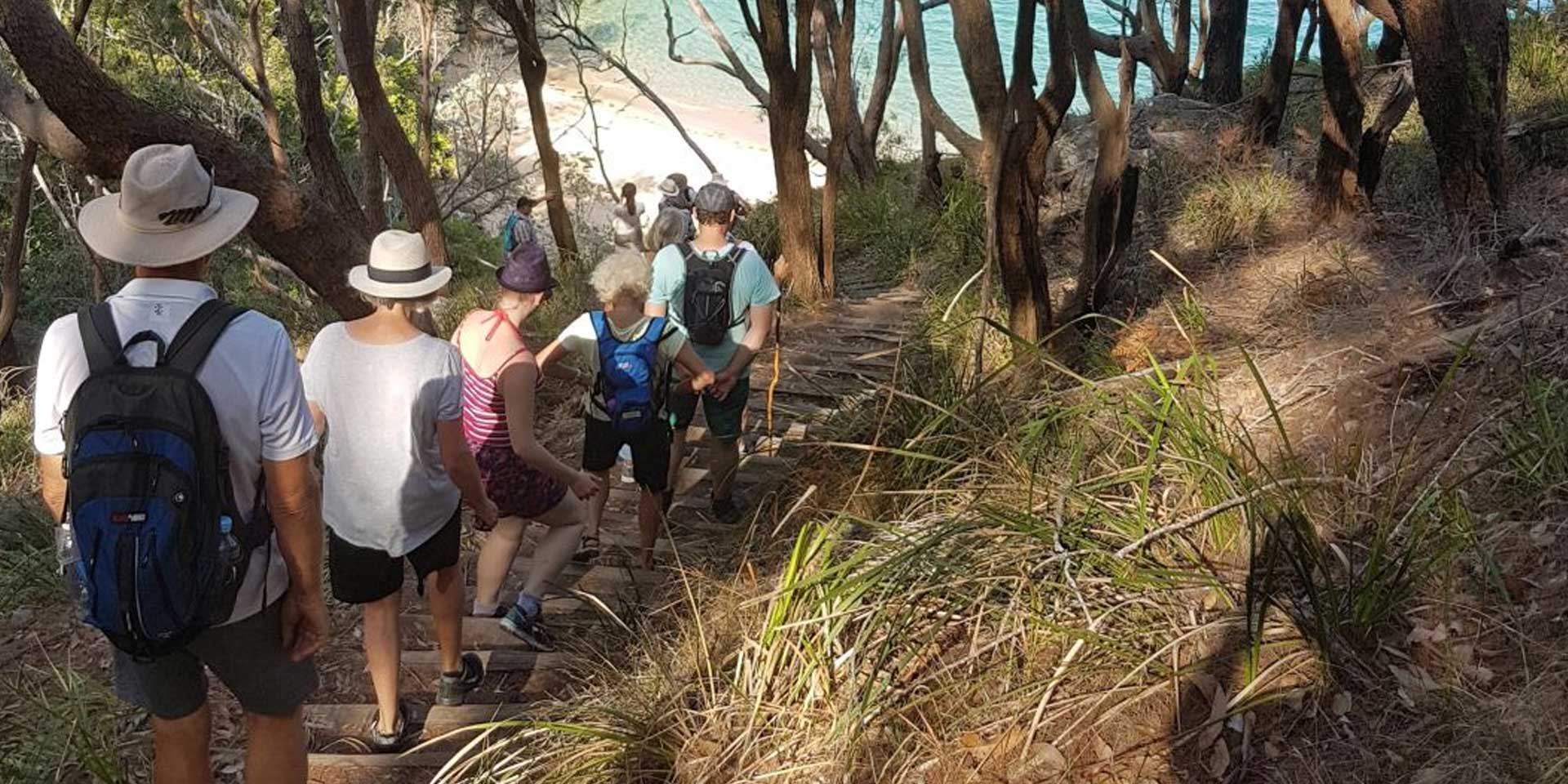 Urban Bushwalking - Sydney