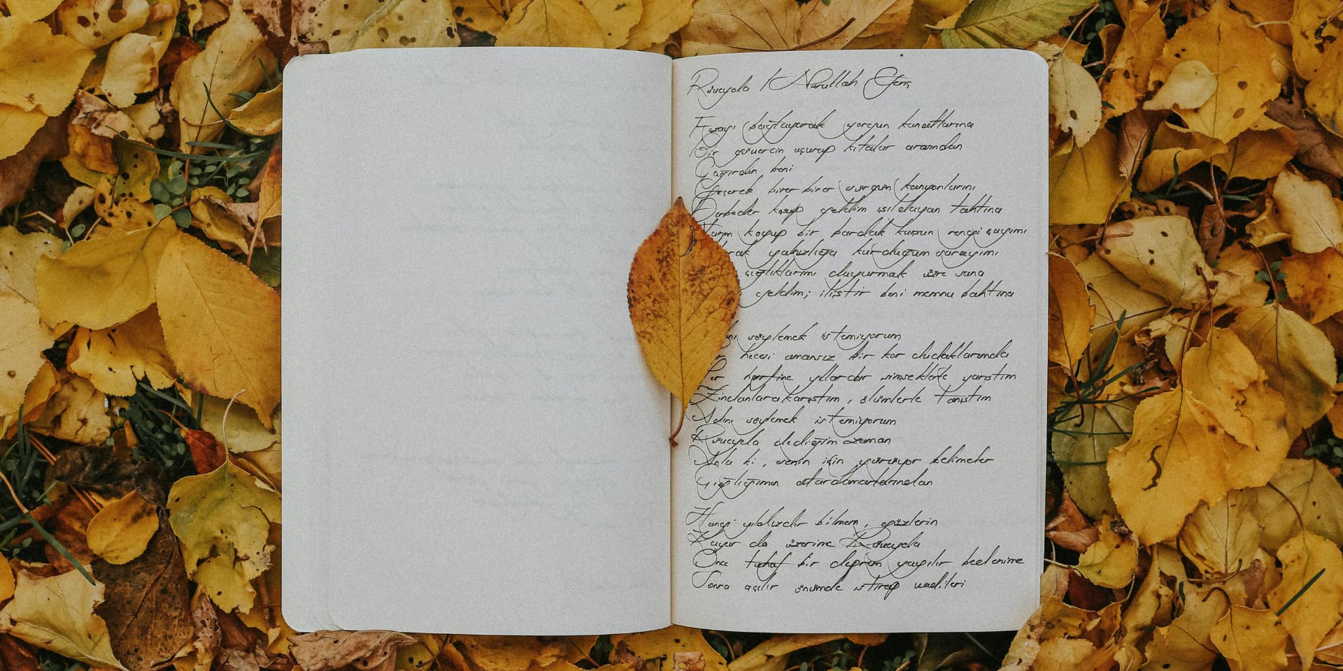 The Poetry Path (Write, Refine, Enter)