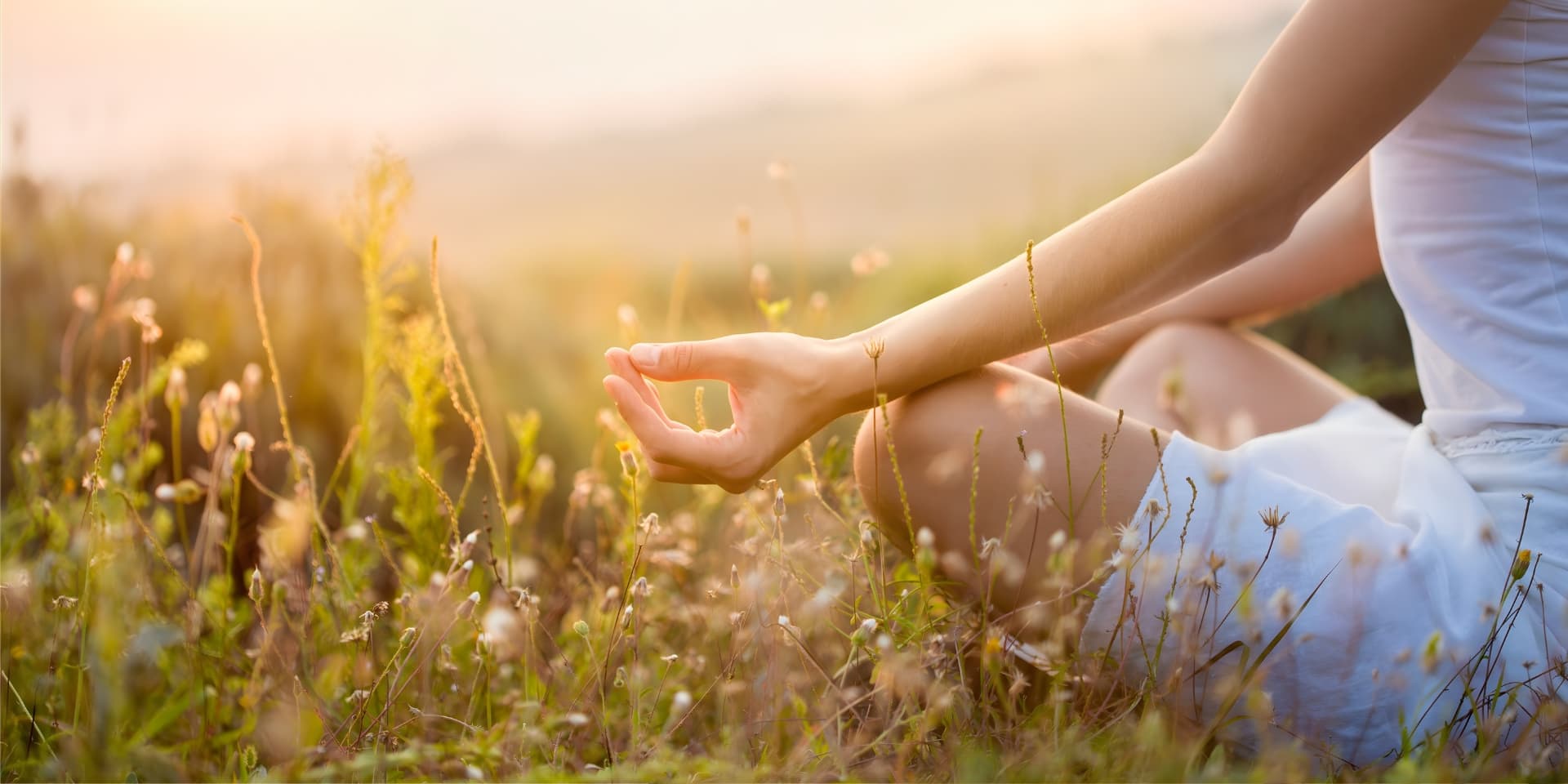 Calm Mind: Introduction to Meditation Workshop