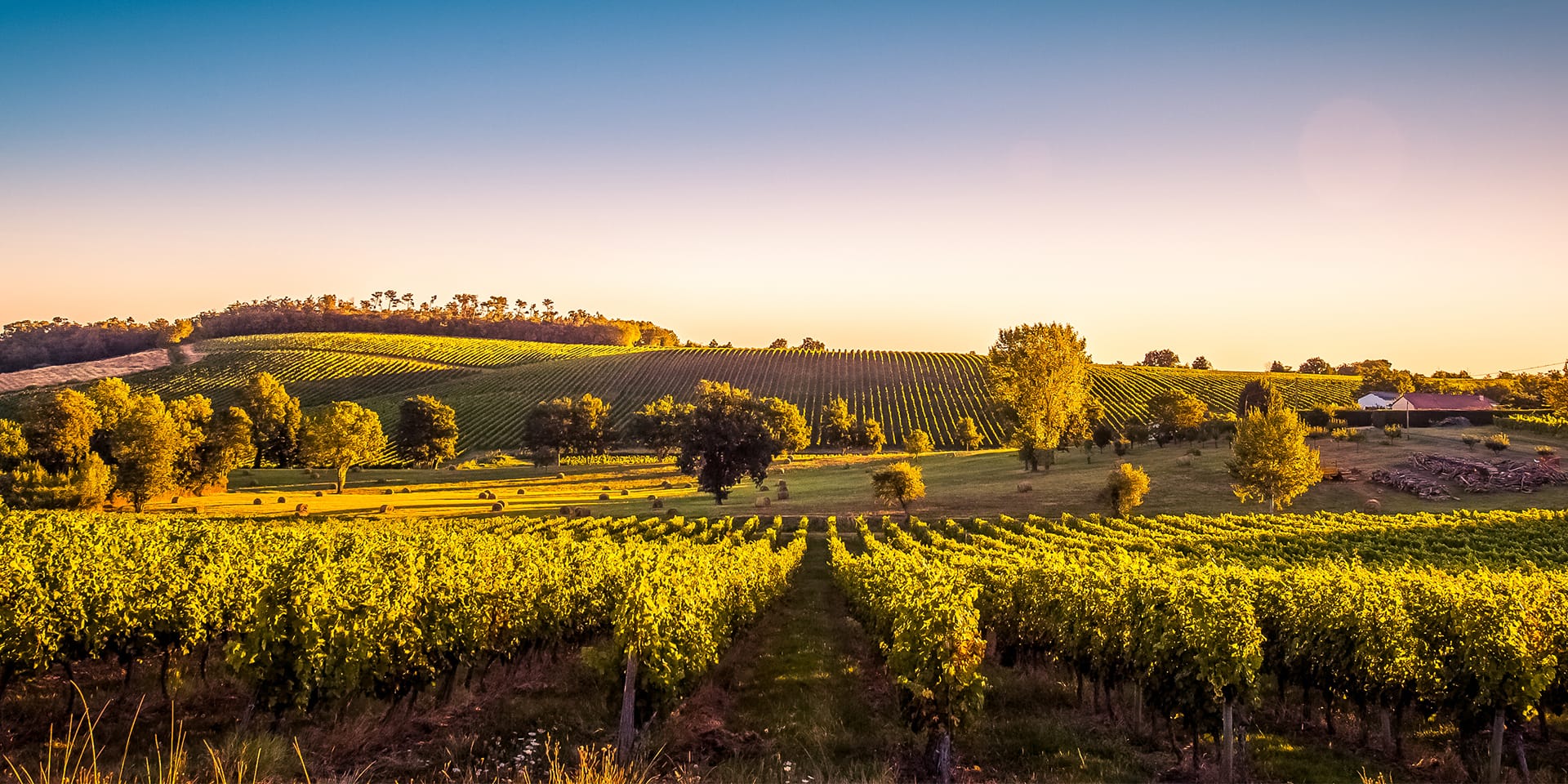 French Courses Sydney Short Courses