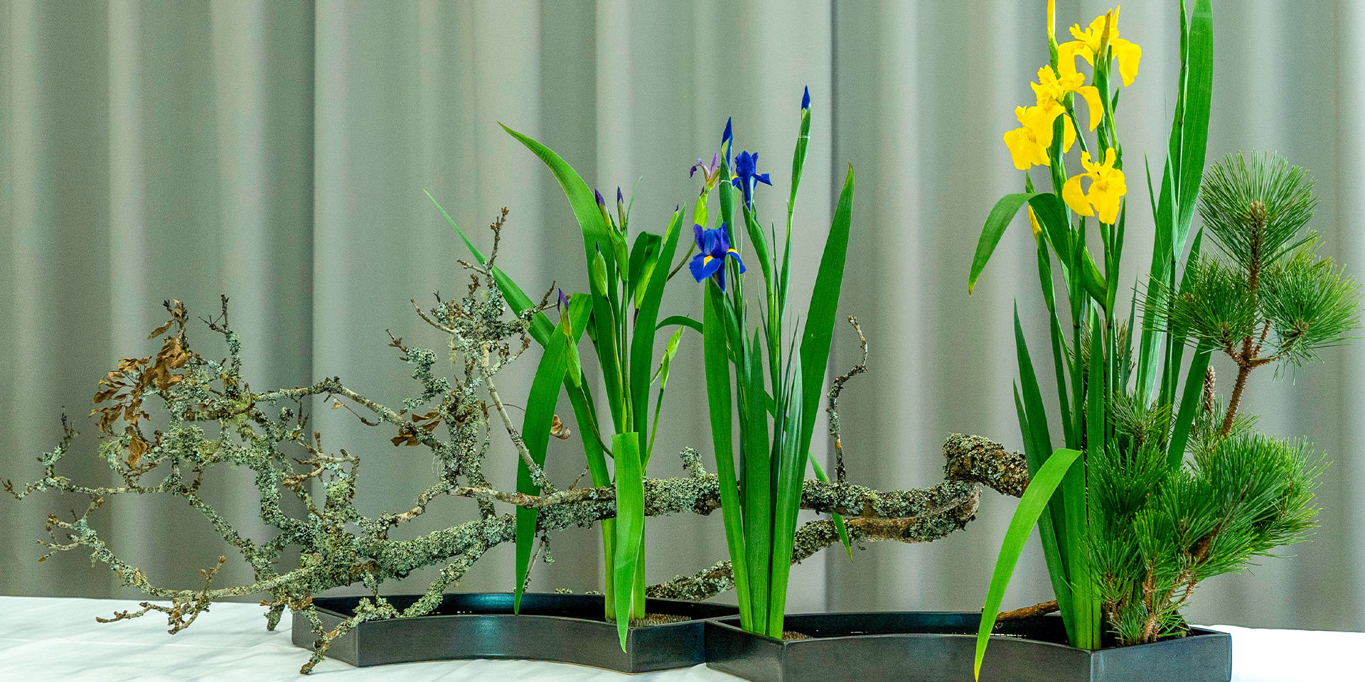 Ikebana Japanese Flower Arrangement Course Sydney Short Courses