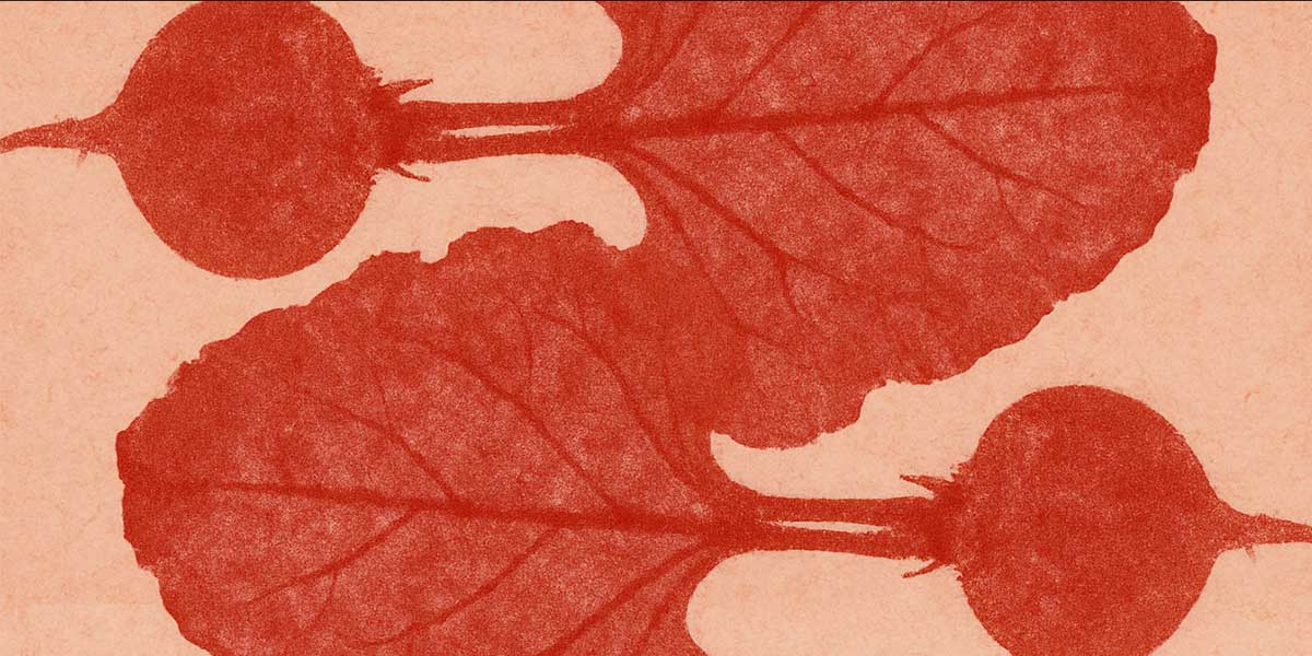 Alternative Photography - Creating Anthotypes