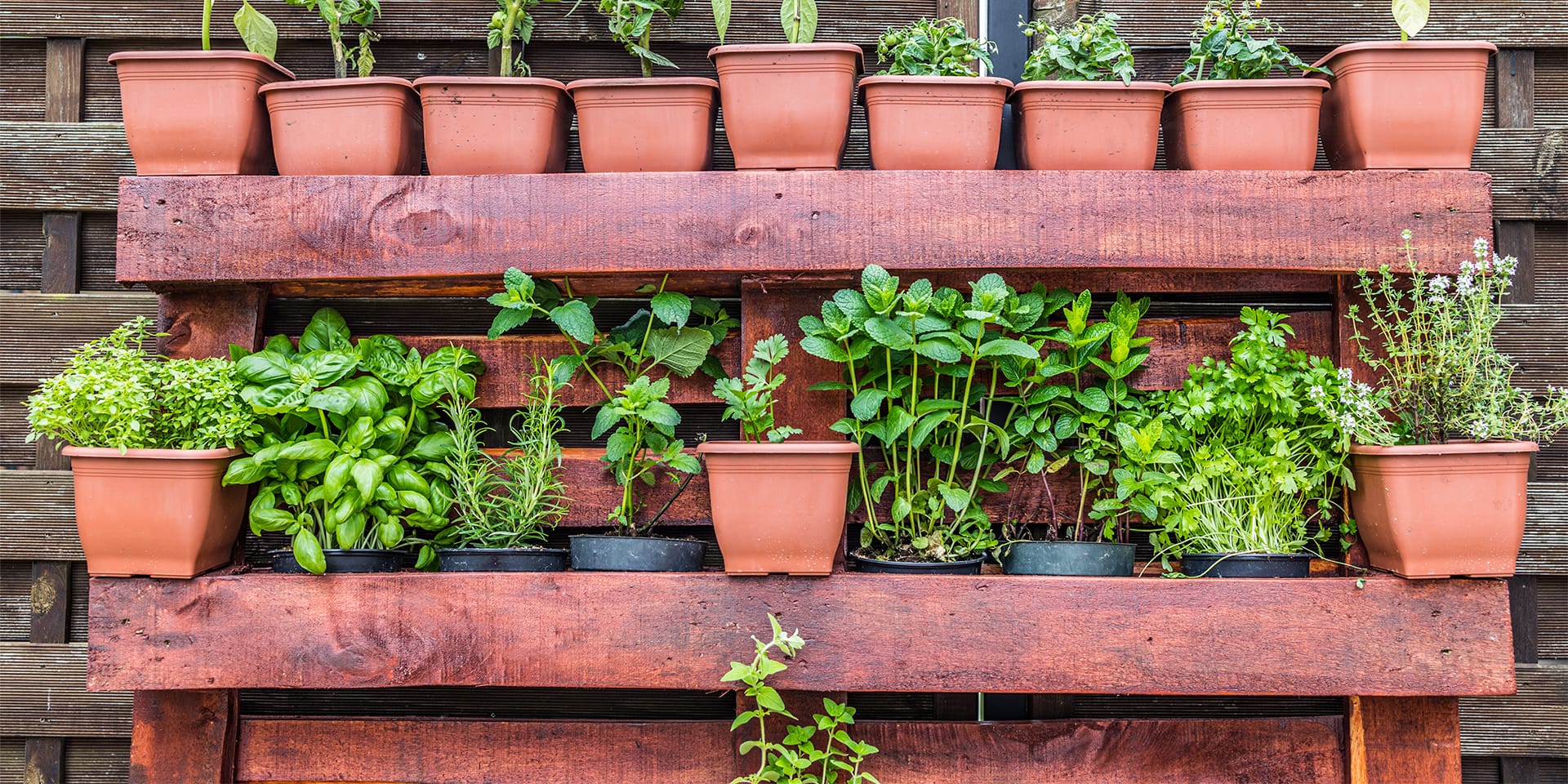 Gardening Courses Short Courses Sydney