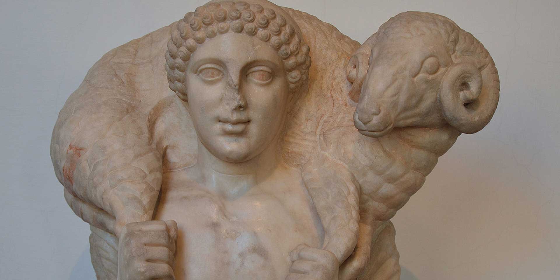 The Animal Mind - Philosophical Perspectives on Animal Cognition