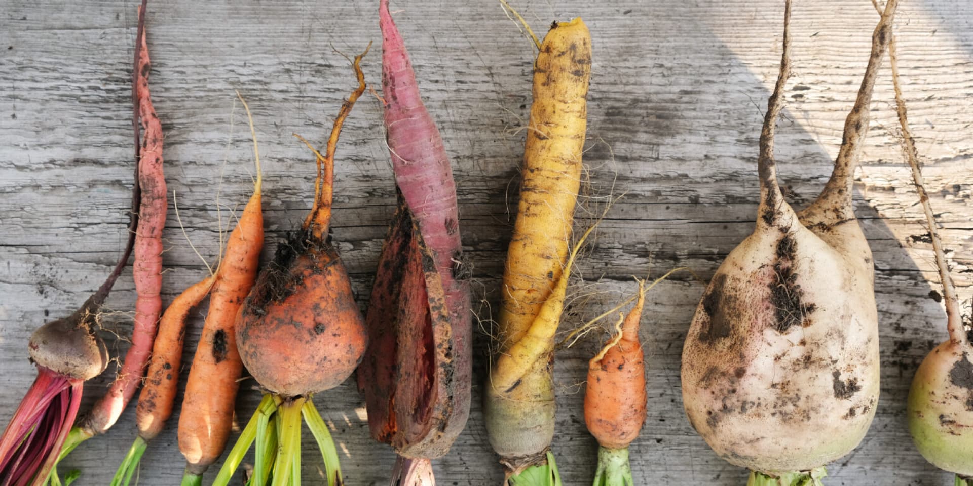 Sustainable Food Systems Course: An Introduction
