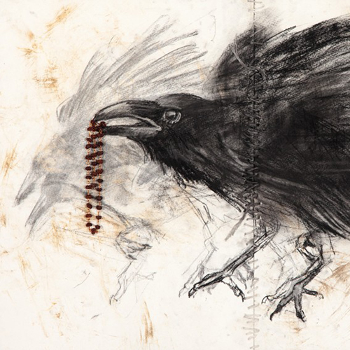 Draw the Birds of Australia - Charcoal and Mixed Media with Jody Graham / 1 Day Workshop