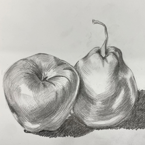 Drawing - Basics and Core Skills with Richard Byrnes / 1 Day Workshop