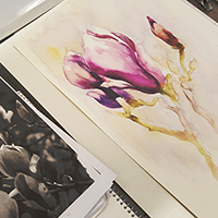 Watercolour Bootcamp with Susie Murphie / 1 Day Workshop