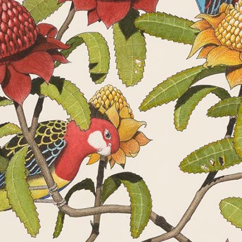 Scientific Illustrations with Angus Fisher - Holiday Workshop