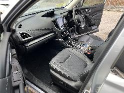 View Auto part Body/Door Mould Subaru Forester 2021