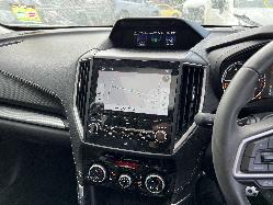 View Auto part Body/Door Mould Subaru Forester 2021