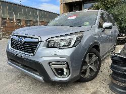 View Auto part Body/Door Mould Subaru Forester 2021
