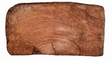 Jarrah