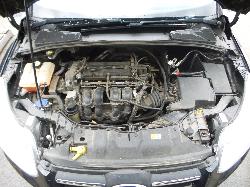 225561