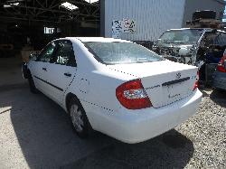 259905