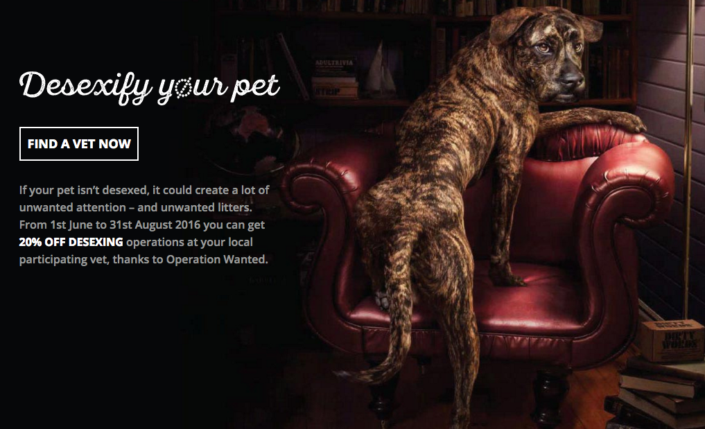 Operation Wanted Why Desex Operation Wanted