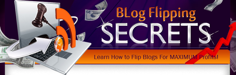 blog flipping guide