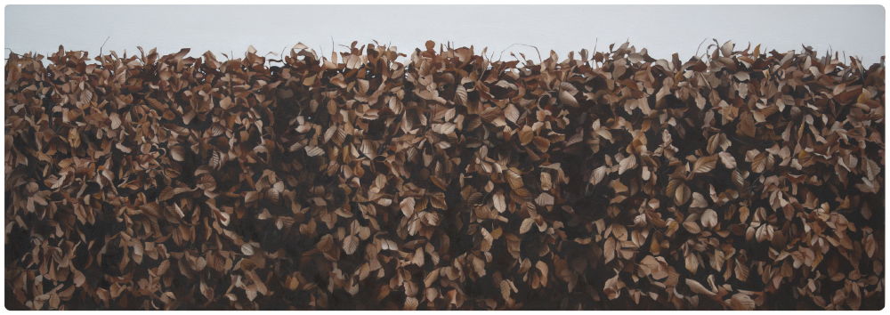 WILLIAM DELAFIELD COOK (1936–2015) A Hedge 1974. NAB Art Collection. Leonard Joel Auctions